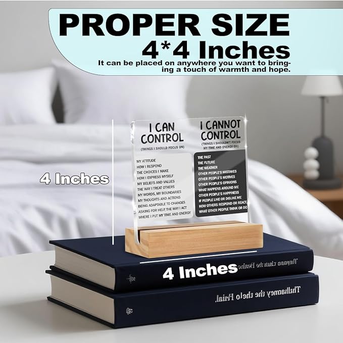 Things I Can't Control Office Decor Sign, Motivational Quotes Acrylic Sign With Wooden Stand, Thank You Gifts for Woman Coworker Nurse Friends Decorative Desk Accessories Table Shelf Signs Decor-1