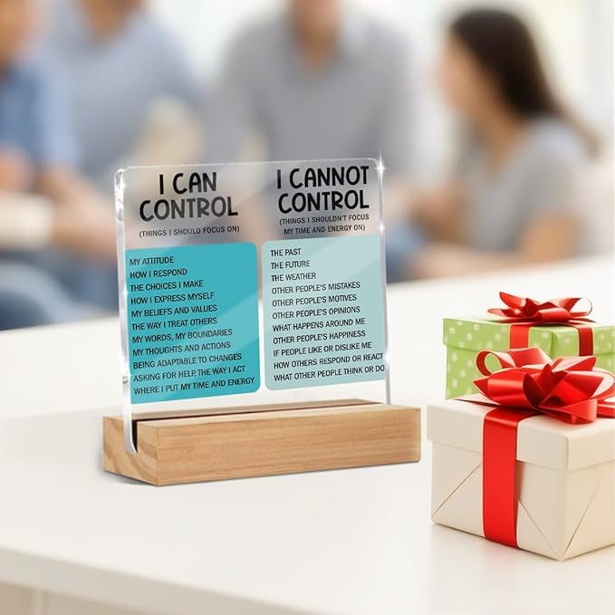 Mental Health Things I Can Control Decor Sign, Motivational Office Acrylic Sign With Wooden Stand, Thank You Gifts for Woman Coworker Nurse Friends Decorative Desk Accessories Table Shelf Decor-2