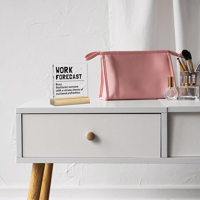 Funny Office Desk Decor, Humor Cubicle Decoration, Cool Gifts for Coworkers, Office Gift for Coworkers, Office Decor for Women Boss Gift, Funny Cute Humor Acrylic Desk Decoration for Office