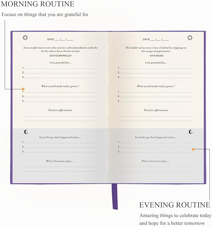 The Gratitude Journal - a Few Minutes a Day for More Happiness, Optimism, Affirmation & Reflection - An Effective Manifestation Guide Journal, Undated Daily Journals for Women & Men (Purple)