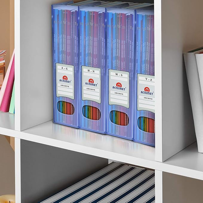 Acrimet Magazine File Holder, Durable Rack, Space-Saving Organizer (Plastic) (Clear Blue Color) (2 pack)