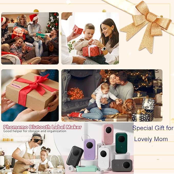 Phomemo D30 Label Maker Machine, Bluetooth Mini Label Maker for Kids School Items, Inkless Thermal Label Printer Portable Sticker Maker for Classroom Home Small Business Organizing