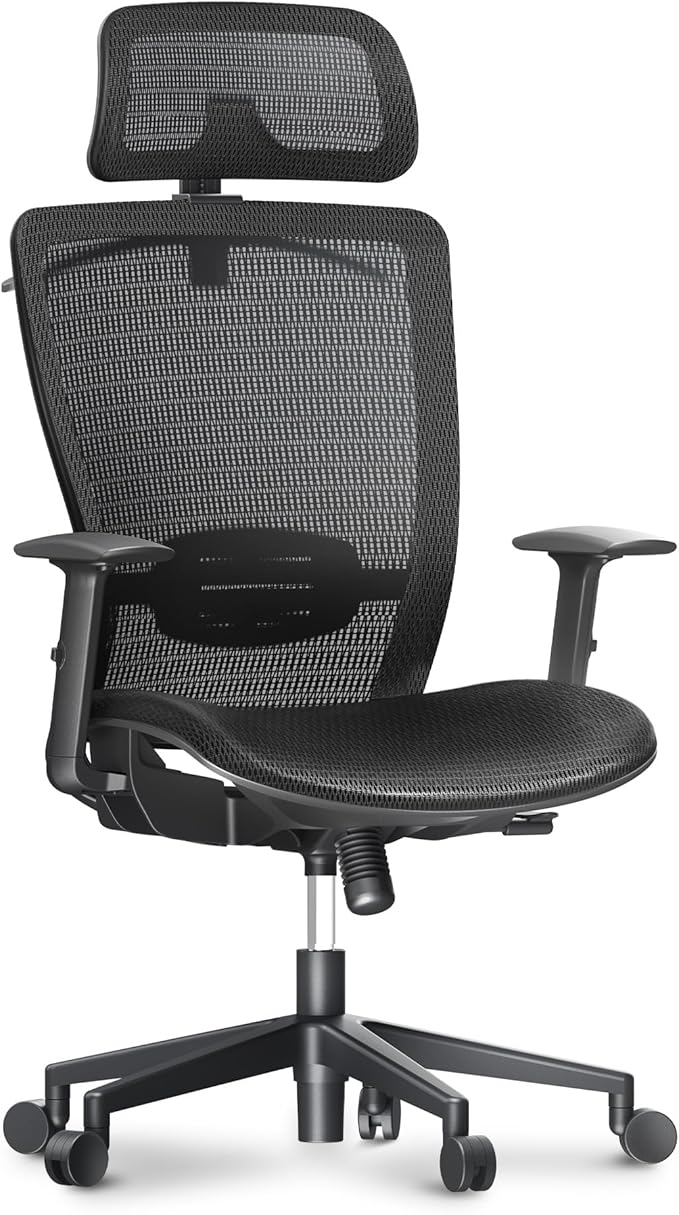 FLEXISPOT Ergonomic Office Chair High Back Mesh Swivel Computer Chair Home Office Desk Chairs with Wheels Lumbar Support Deep Black