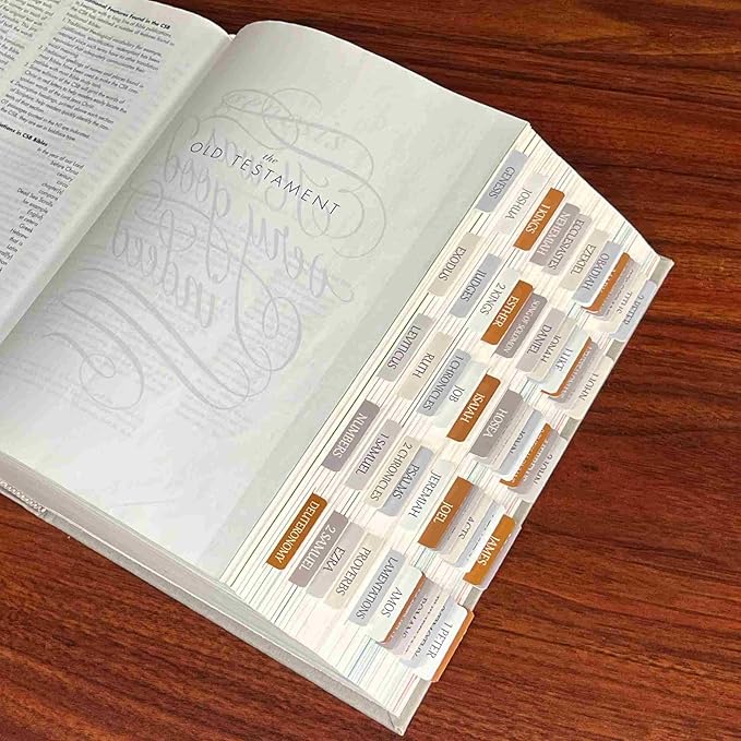 Thinkor Reposition Laminated Bible Tabs, Large Print Stickers, Easy to Read & Apply Bible Tabs for Women & Man (Winter Snow)