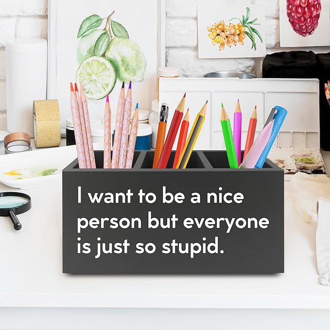 Funny Pen Pencil Holder Organizer for Desk, Sarcastic Gifts for Women Men Coworkers, Office Humor Gifts, Funny Wooden Box Sign for Home Office Desk Tabletop Decorations