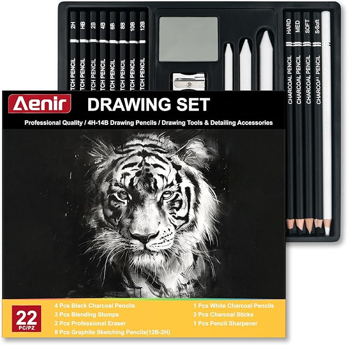 Charcoal Pencils for Drawing, Set of 22, Professional Drawing Sketch Pencils, Charcoal Art Supplies for Sketching, Shading, Artist Charcoal Supplies for Beginners & Pro Artists.