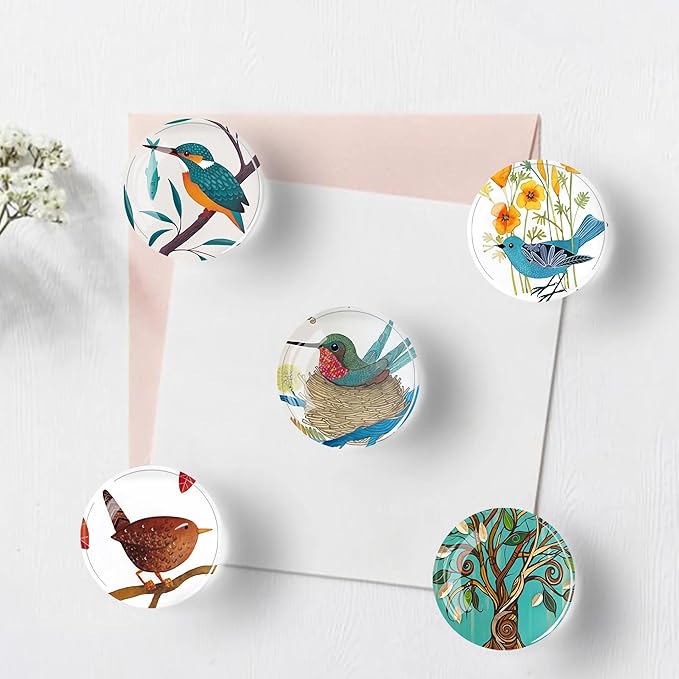 12Pcs Glass Refrigerator Magnet Fridge Sticker,Bird Fridge Magnets Decoration for Crafts,Strong Fridge Magnets for Kitchen, School,Office Whiteboard, Cabinet and Dishwasher