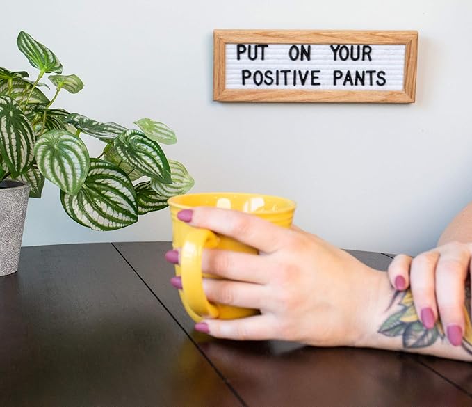 Felt Like Sharing Small Letter Board (White Felt - 10”x3.5”) – Changeable Message Board with 3 Sets of Felt Board Letters – Statement Wall Sign for Quotes, Home or Holiday Decor In Oak Frame