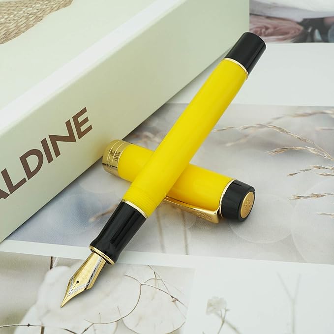 Jinhao 100 Fountain Pen Celluloid Classic Style, #6 Nib Smooth Writing Instrument with Refillable Converter and Pen Case Set