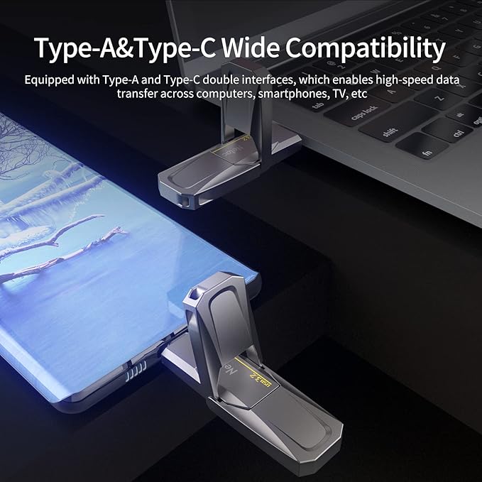 Netac 256GB Portable External USB Solid State Drive Type-c and USB 3.2 Dual Interface, up to 400MB/s Security Protection for Data Storage, Expansion of Storage for Photos/Videos/Music/Files, US5
