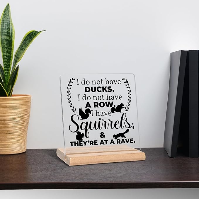 Funny Office Home Work Gifts for Coworkers, I Do Not Have Ducks Acrylic Decorative Sign, Humorous Hilarious Gifts for Employees, Boss, Friend