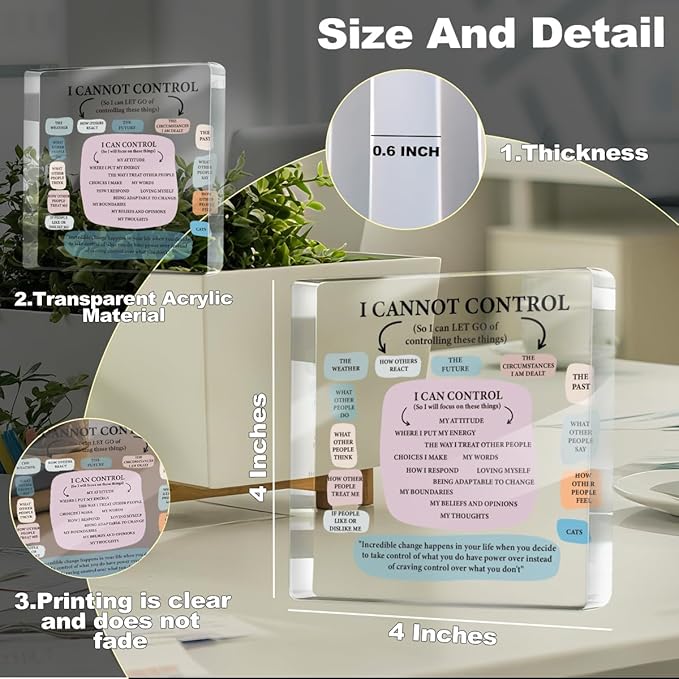 Mental Health Therapist Office Desk Decor Clear Acrylic Sign, Inspirational Gifts for Women Men Friends, Therapist Office Art Decoration for Desk Gadgets Tabletop Cubicle, Things I Can Control