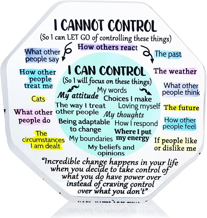 Ewong Things I Can Control Mental Health Decor, Acrylic Sign for Therapist Office, School Counselor, Psychologist Room Art Decoration, Therapy Desk Plaque for Bedroom Classroom (Octagon-Light cyan)