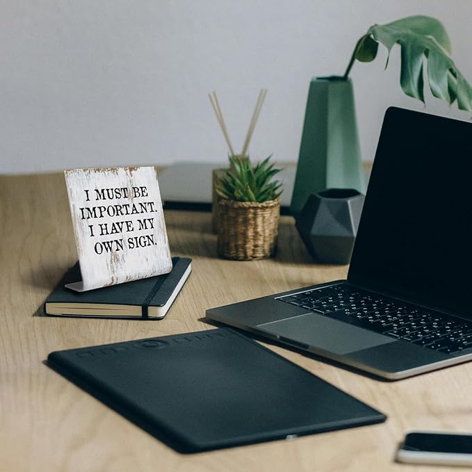 Funny Desk Signs for Work Office, I Must Be Important I Have My Own Sign,Work Office Decor for Women Men,Office Desk for Coworker Work bestie Friend, Office Humor Decor Sign Plaque XB282