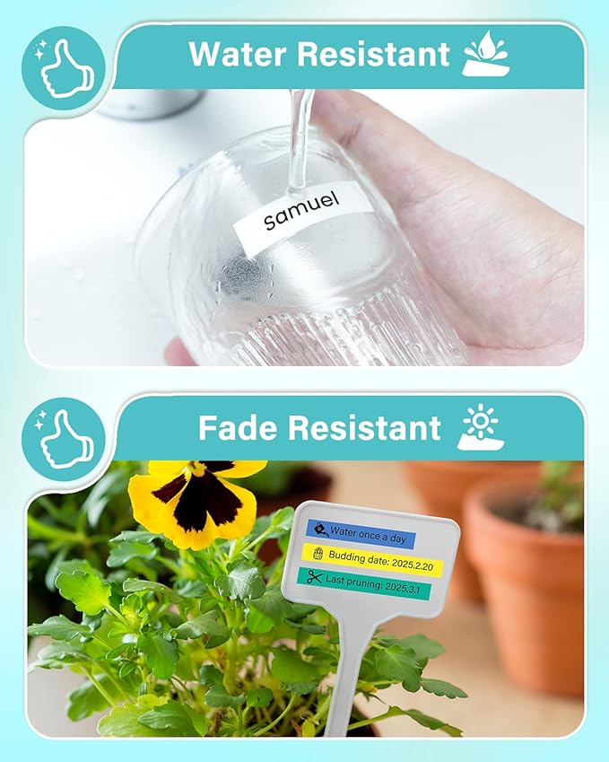 Colorty TZe-231 12mm 0.47 Label Tape Replacement for Brother P Touch Label Maker Tape TZe Laminated TZe-131 TZe-231 TZe-431 TZe-531 TZe-631 TZe-731 for PT-D210 PT-D200 PT-H100 H110 D400 P300BT, 6 Pack