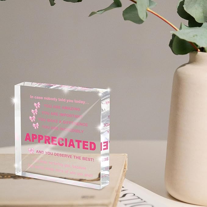 Inspirational Gifts Ideas for Women, Motivational Acrylic Keepsake Home Office Desk Decor, Appreciation for Coworkers, Thank You Gifts for Women and Men Administrative Professionals