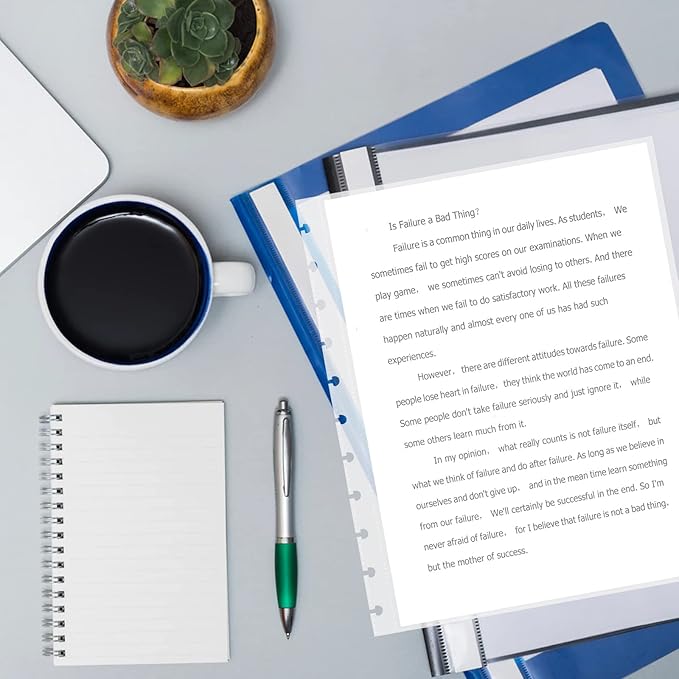 25 Piece Letter Size Sheet Protectors Clear Plastic Page Protectors for Discbound Holds Letter Size Discbound Binding Cover (25)