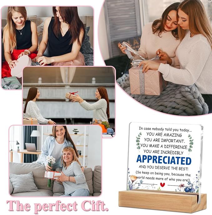 Inspirational Gifts Acrylic Sign with Wood Stand, Employee Appreciation Gifts Bedroom Office Living Room Desk Cubicle Table Shelf Decor, Encouragement Gifts for Women Coworker Friends Staff
