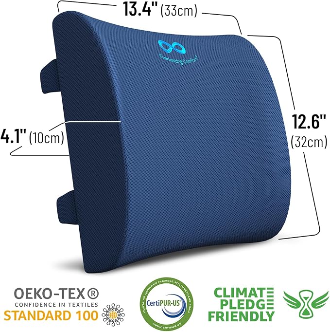 Everlasting Comfort Lumbar Support Pillow for Office Chair - Memory Foam Back Cushion for Car Seat - Promotes Better Posture, Back Pain Relief - Ideal Gaming and Desk Chairs Work and Home Essentials
