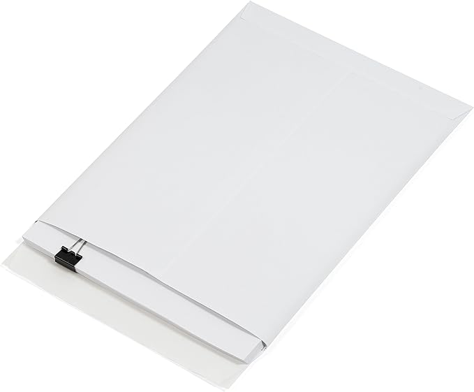 100 9 X 12 Self Seal Security Catalog Envelopes - Designed for Secure Mailing - Securely Holds up to 60 Sheets of Paper with Strong Peel and Seal Flap (100 Envelopes)