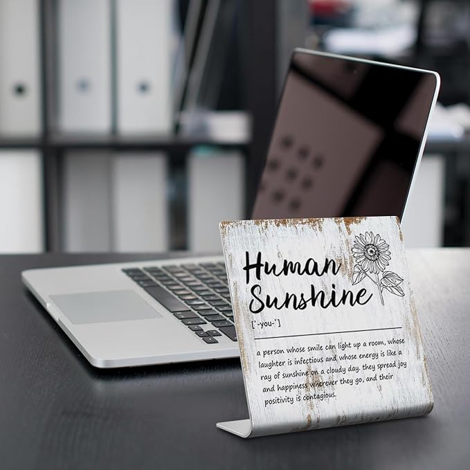 Human Sunshine Definition Plaque Desk Decor Office Shelf Birthday Gifts for Women Men, Friends, Coworker, Sister, Mom, Dad, Aunt, BFF, Grandma, Boss, Teacher, Nurse Decorative Desk Signs XUV109