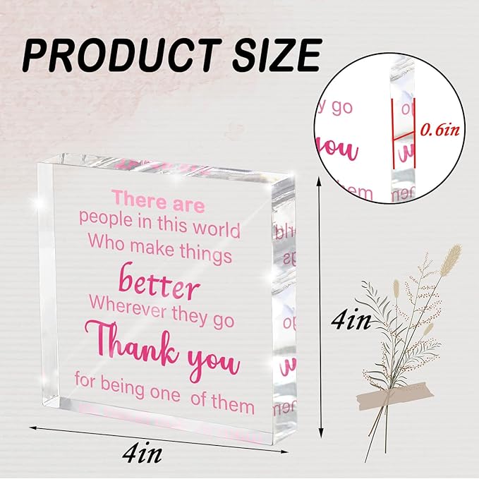Thoughtful Appreciation Gift, Pink Acrylic Desk Sign with Uplifting Quote, Perfect for a Teacher, Mentor, Boss or Volunteer, 4x4 Inch Inspirational Decor