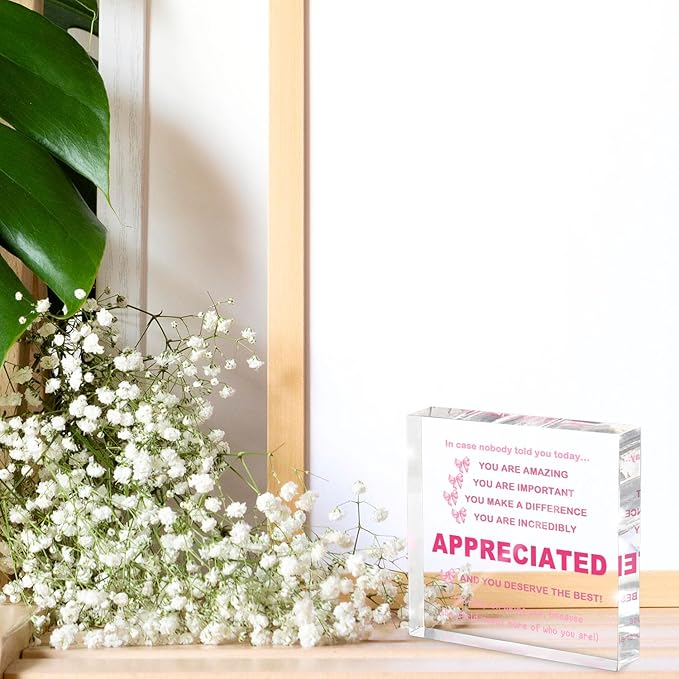 Inspirational Gifts Ideas for Women, Motivational Acrylic Keepsake Home Office Desk Decor, Appreciation for Coworkers, Thank You Gifts for Women and Men Administrative Professionals