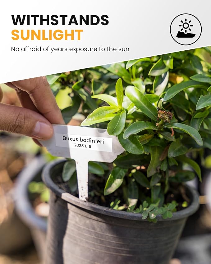 Label Maker Tape Compatible with Brother P-Touch Label Tape TZe-231 TZ TZe 12mm 0.47 Laminated White 1/2" TZE231 for PT-D210 D220 H110 D410 D610BT P710BT H111 Cube 1880 Refill, Black on White, 6-Pack