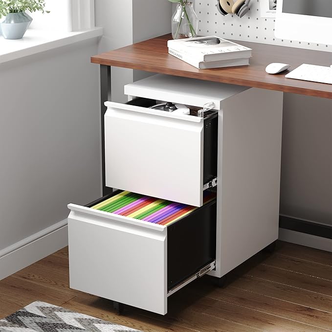 Letaya 2 Drawer Mobile File Cabinet with Lock,Under Desk Metal Filing Cabinets for Home Office Organizer Letters/Legal/A4(White-Requires Installation)
