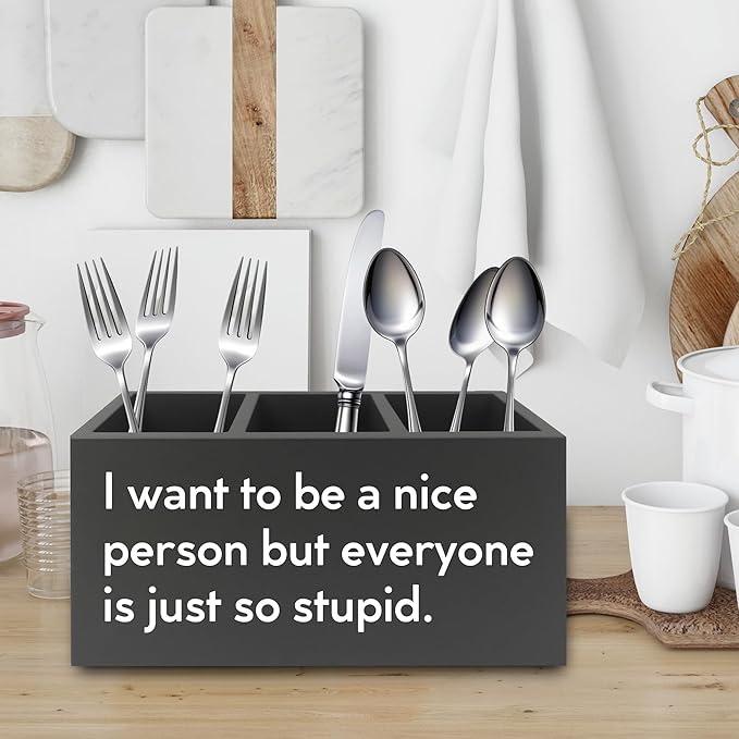 Funny Pen Pencil Holder Organizer for Desk, Sarcastic Gifts for Women Men Coworkers, Office Humor Gifts, Funny Wooden Box Sign for Home Office Desk Tabletop Decorations