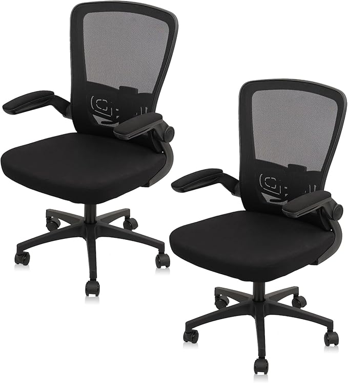 Office Desk Chairs with Wheels, Ergonomic Mesh Chair with Adjustable Height Lumbar Support, Rolling Swivel Computer Task Chair with Flip Up Armrests for Home, Study, Conference, Black (2PK)