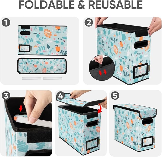 BALEINE File Organizer Box with Lid, Collapsible File Folder Organizer with Plastic Slide, Hanging File Folder Box for Office Document Storage (1 Pack, Spring Stroll, S)