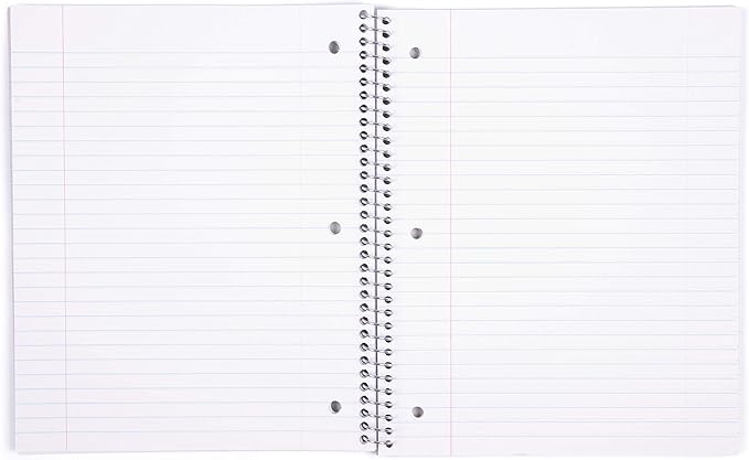 Mintra Office Durable Spiral Notebooks, 1 Subject, (Teal, College Ruled 12pk), 100 Sheets, Poly Pocket, Moisture Resistant Cover, School, Office, Business, Professional