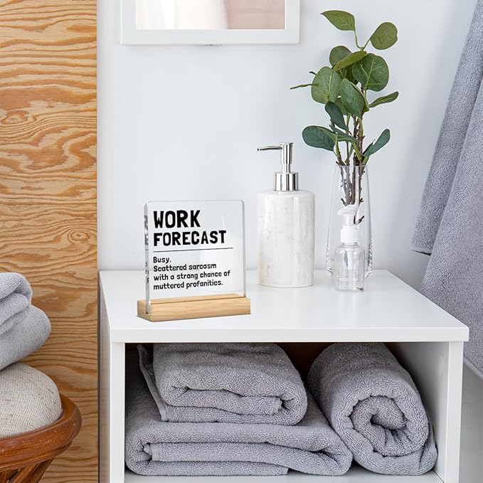 Funny Office Desk Decor, Humor Cubicle Decoration, Cool Gifts for Coworkers, Office Gift for Coworkers, Office Decor for Women Boss Gift, Funny Cute Humor Acrylic Desk Decoration for Office