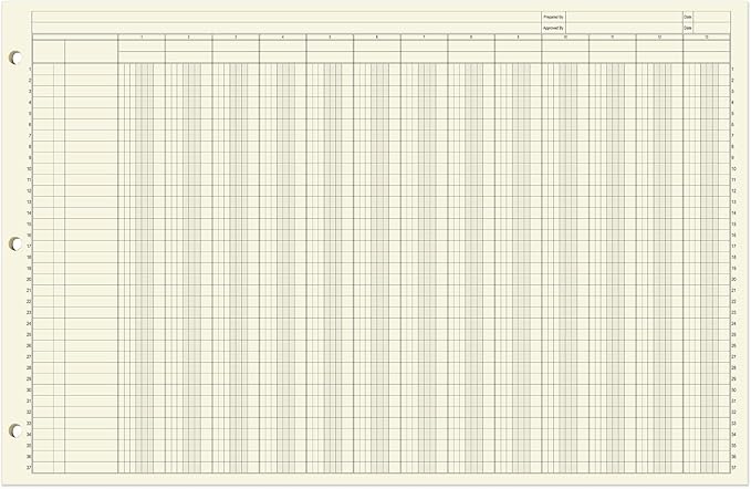 BookFactory Ledger Sheets/Large 13 Column Accounting Ledger Columnar (Thirteen Columns) Loose Leaf Paper - 17'' x 11'', 50 Pages, Loose Leaf, 3 Hole Punched (SHEET-050-CLCLL(17x11-Ledger-13)-AX)