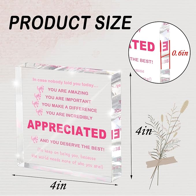 Inspirational Gifts Ideas for Women, Motivational Acrylic Keepsake Home Office Desk Decor, Appreciation for Coworkers, Thank You Gifts for Women and Men Administrative Professionals