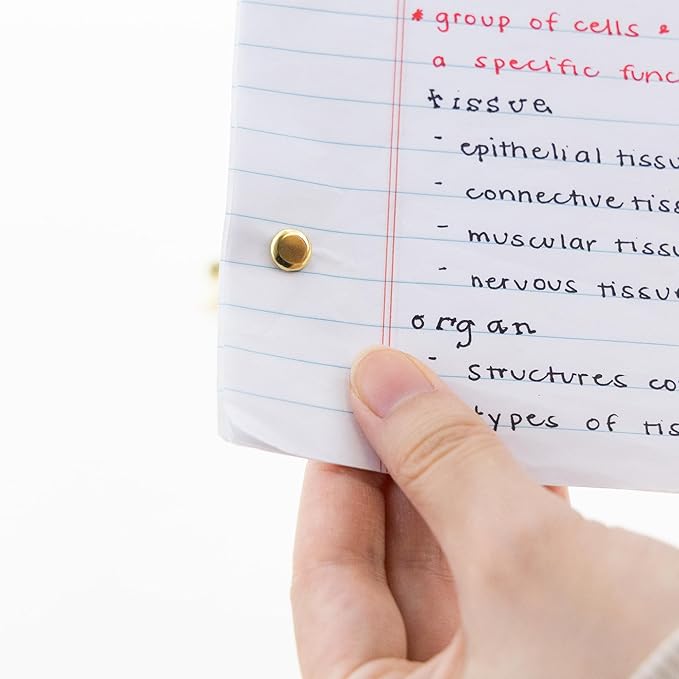 BAZIC Products Brass Plated Fasteners 1/2 Inch, Round Head Paper Fastener Brads for Office School Organization Scrapbooking Art and Crafts (100/Pack), 144-Pack