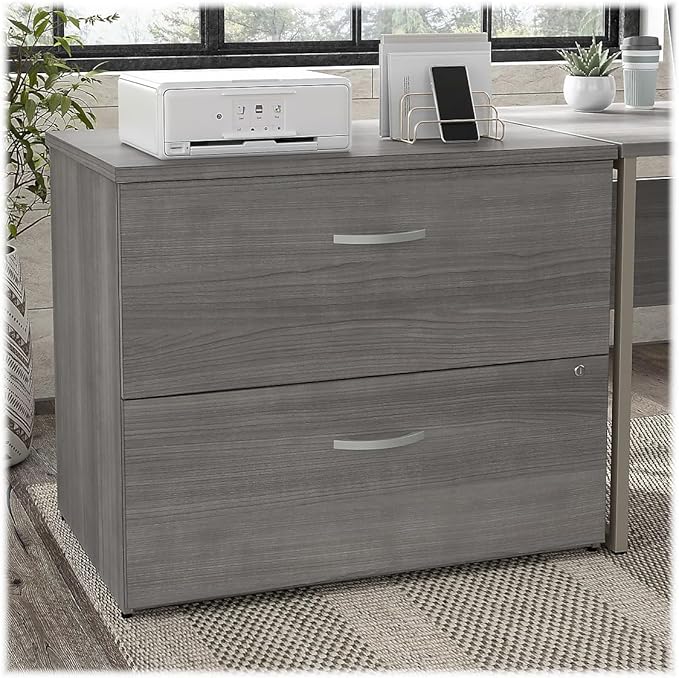 Bush Business Furniture Hybrid 2 Drawer Lateral File Cabinet-Assembled, Platinum Gray