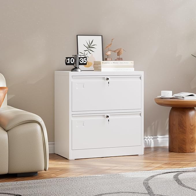 Metal Lateral File Cabinet, 2 Drawers Lateral Filing Cabinet, Office Wide Storage File Cabinet for Letter/Legal/A4 Size, Assembly Required