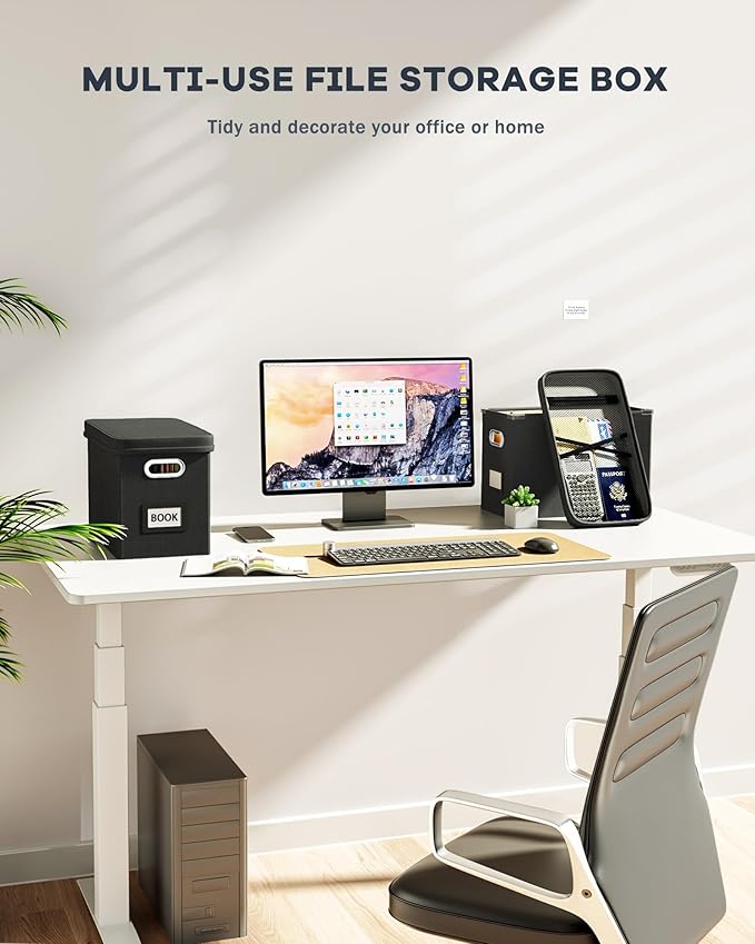 Oterri File Organizer Box with Lid, Hanging Filing File Box with Mesh Pocket, Document Organizer Box for Letter Files, Portable Storage Box with Smooth Sliding Rail for Office&Home (2 PCS, Black)