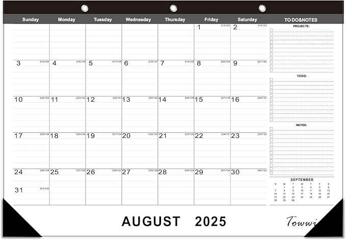 TOWWI 2025-2026 Desk Calendar, 17"x12" Desktop Monthly Calenda for Home, Office, Family with To-do List, Ruled Blocks, Corner Protectors