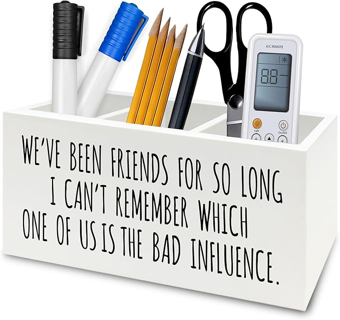 Funny Sarcastic Friendship Pen Pencil Holder Organizer for Desk, Humorous Gifts, We've Been Friends for So Long I Can't Remember Which Wooden Box Signs Decor for Home Office Desk Tabletop