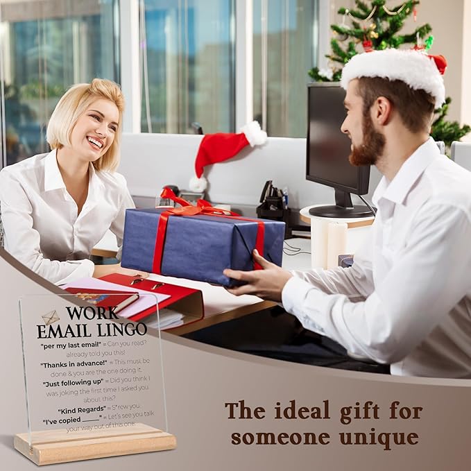 Funny Office Gifts for Work Women Men, Work Email Lingo Acrylic Decorative Sign, Sarcastic Office Gifts for Coworker, Colleague, Boss