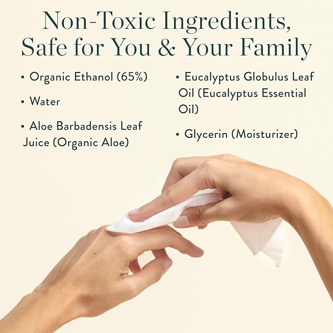 Biom Mini Dispenser + Hand Sanitizing Wipes Starter Kit - Eucalyptus Scented, Biodegradable, Kid-Safe | Fits in Cup Holder | All Natural, Plant-Based Non-Toxic Wipes with Aloe for Soft Skin (Midnight)