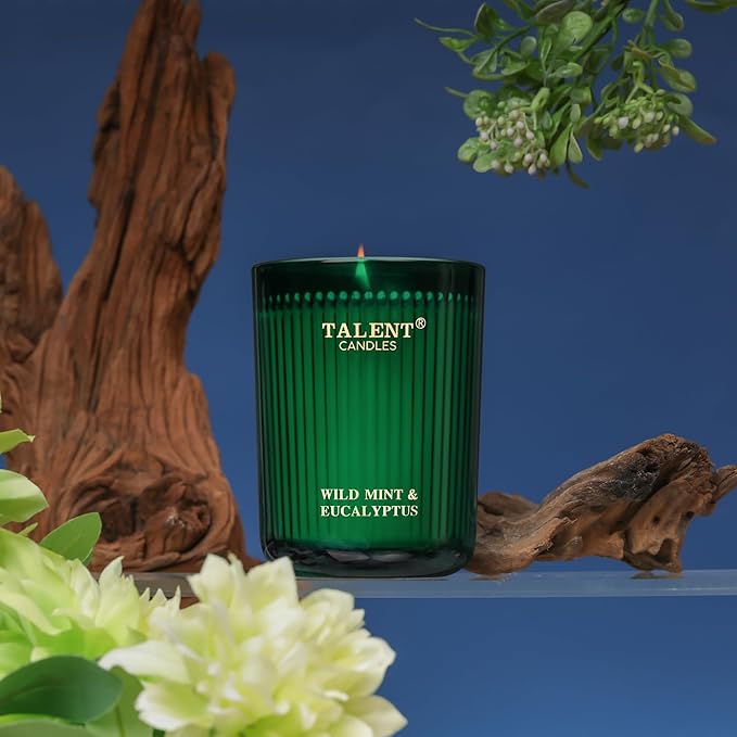 Jar Candles for Home Scented, Aromatherapy Candles Gifts for Women & Men, Natural Soy Candle, 8.4oz Traditional Style, Wild Mint & Eucalyptus