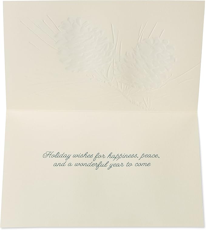 Papyrus Holiday Cards Boxed with Envelopes, Wonderful Year to Come, Pinecones (14-Count)