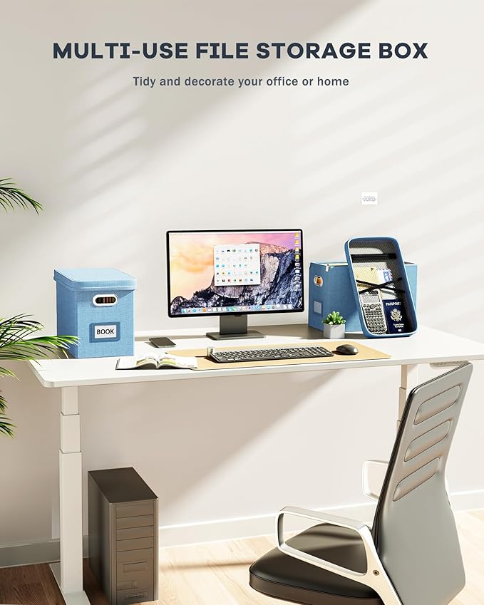 Oterri File Organizer Box with Lid, Hanging Filing File Box with Mesh Pocket, Document Organizer Box for Letter Files, Portable Storage Box with Smooth Sliding Rail for Office&Home (2 PCS, Sky-blue)