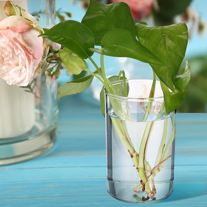 Crtiin 10 Pack Clear Acrylic Pen Holder Makeup Brush Round Pencil Holder for Desk Pen Cups Desk Organizers and Storage Desktop Stationery Organizer for Office School Home Supplies