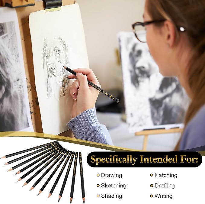 36 Pcs Drawing Sketching Pencil Set Professional (12b - 4h) Graphite Charcoal Gift Bulk for Artists Beginners, Pro Artists, Drawing Art, Sketching