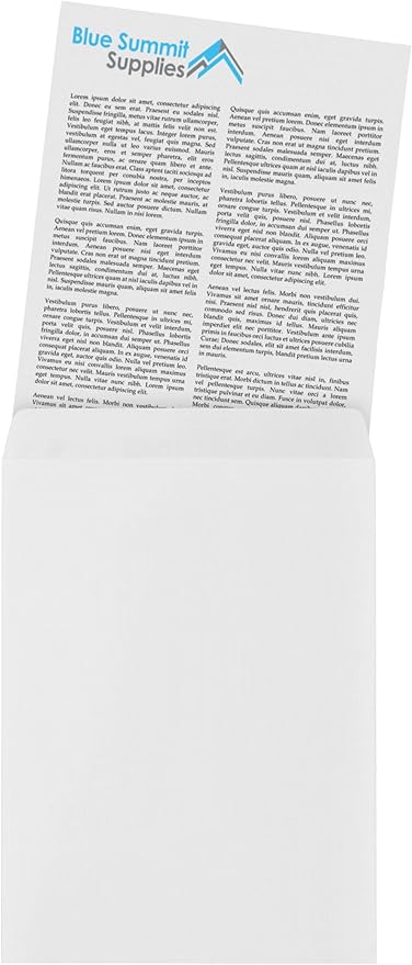 100 9 X 12 Self Seal Security Catalog Envelopes - Designed for Secure Mailing - Securely Holds up to 60 Sheets of Paper with Strong Peel and Seal Flap (100 Envelopes)